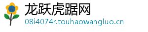 龙跃虎踞网